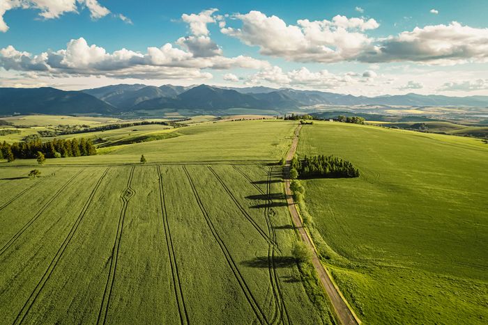 Liptovské polia