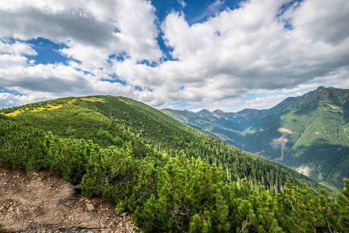 Západné Tatry