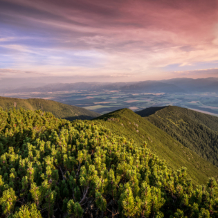 Západné Tatry